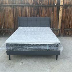 queeenn new comes as shown neww