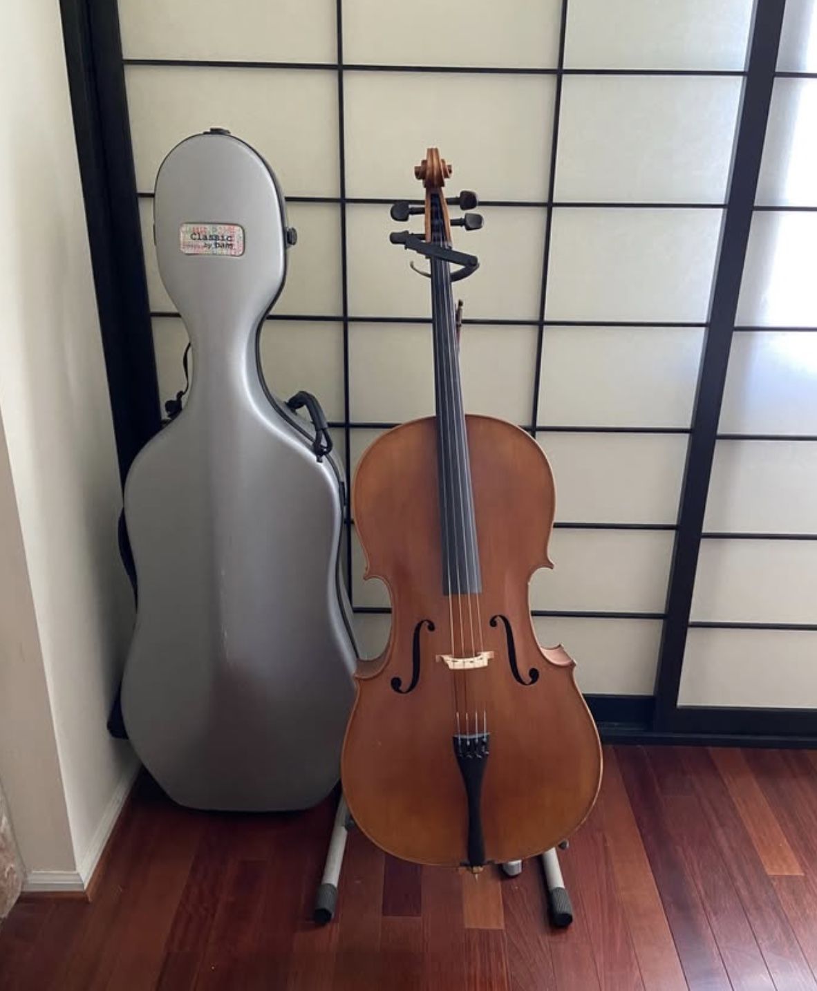 Cello 4/4 and Bam Case