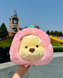 🍑 Peach Winnie the Pooh Crossbody Bag! 🧸BNWT 🏷️