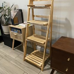 Ladder Plant Stand