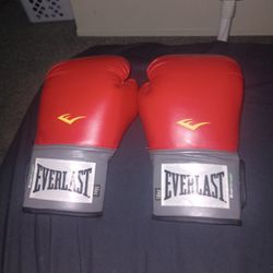 EverLast Boxing Gloves