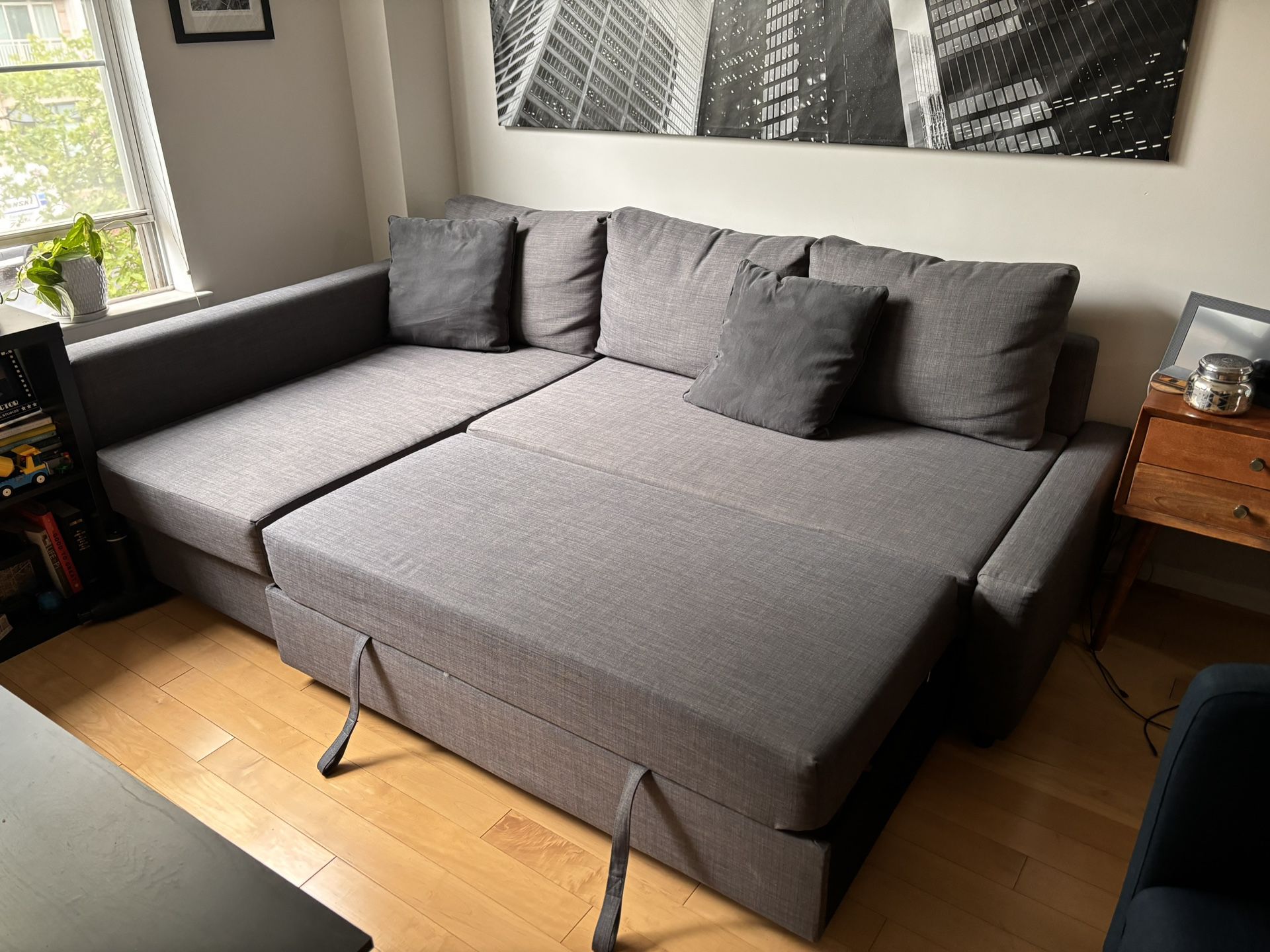3 Seat Sofa with Pull Out Couch 