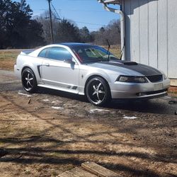 2000 Ford Mustang