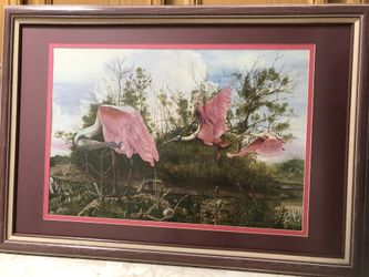 Florida Wild Life Flamingos