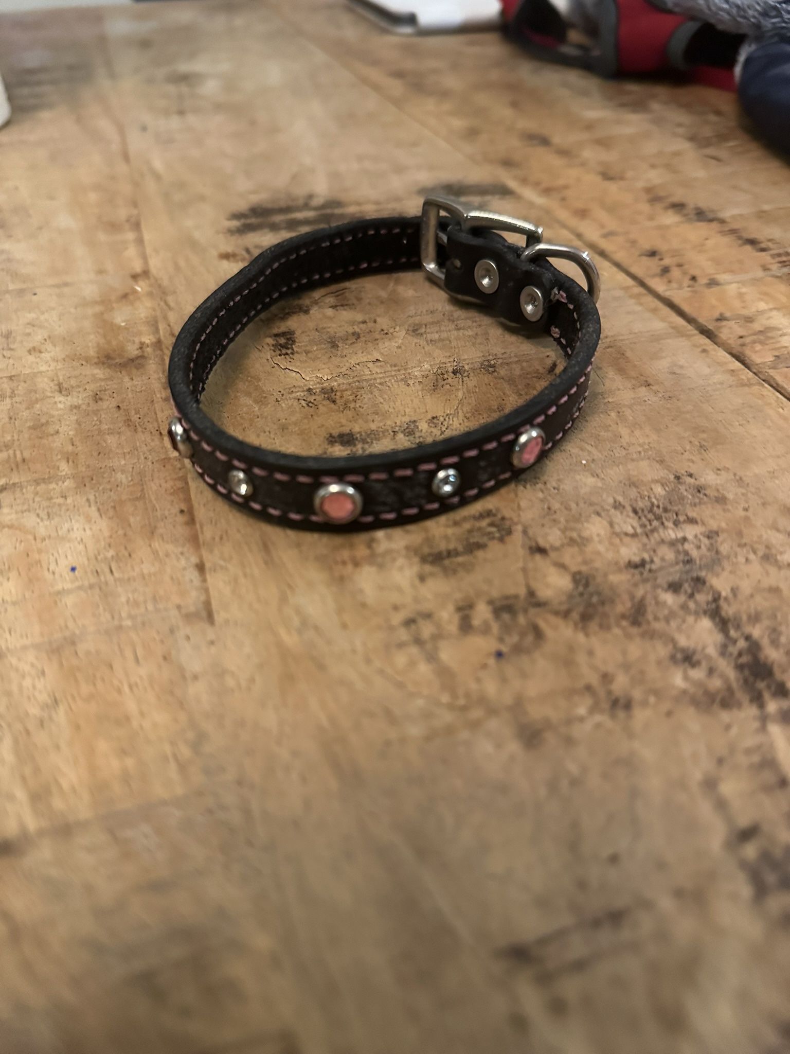 Various Small Dog Items