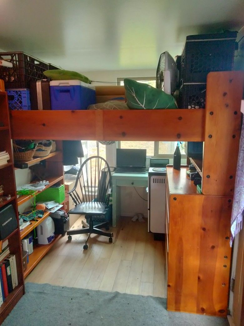 Solid Wood Twin Loft Bed