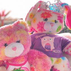 Build A Bears And Accessories