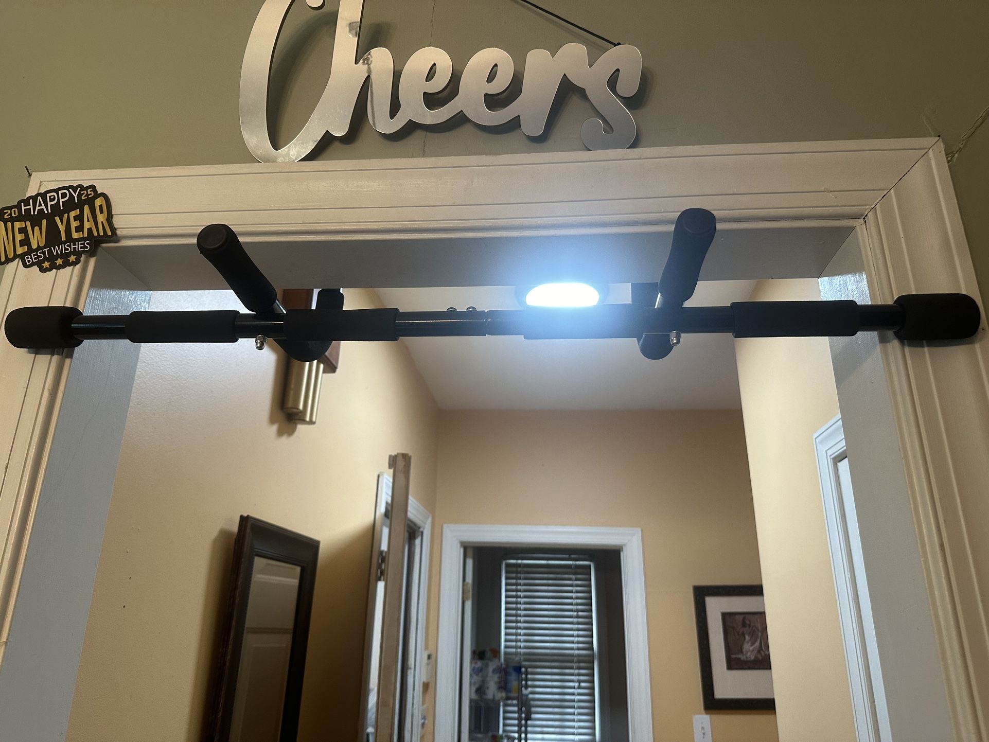 Pull Up Bar