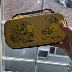 Nintendo Light Carry Case