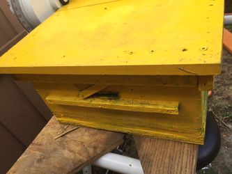 Bee hive