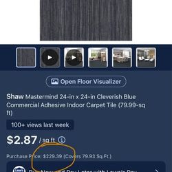 (20) Shaw 24” Carpet Tiles