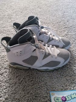 Jordan 6s