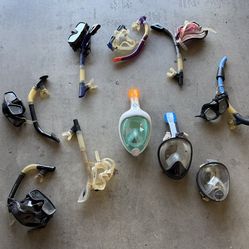 Snorkel and dive masks