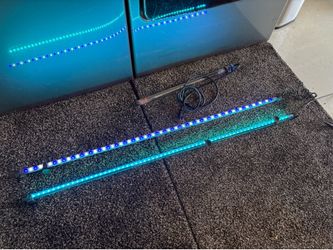 Fish light