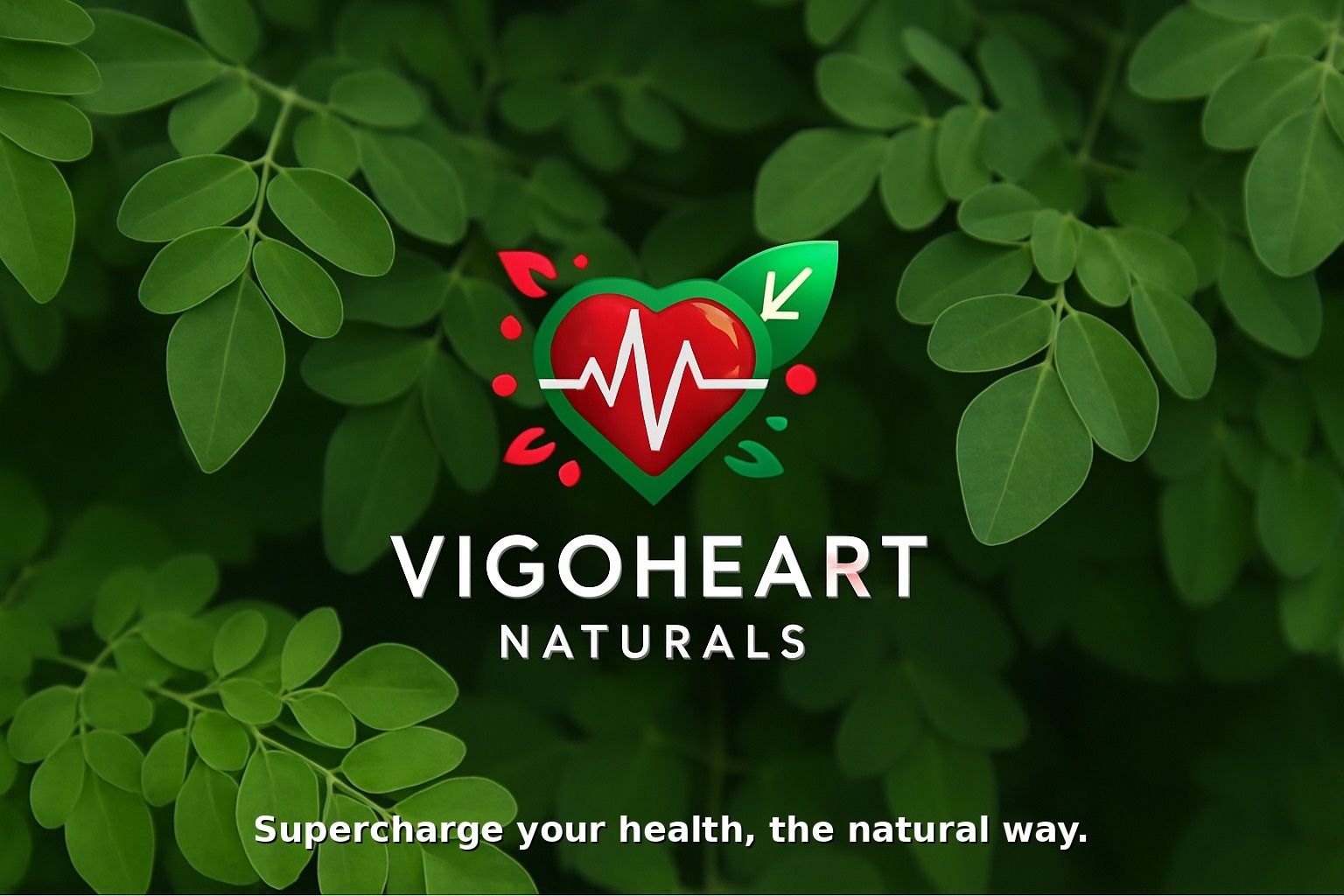 🌿 Big Moringa Trees – Fast-Growing Superfood Tree! | USDA Certified