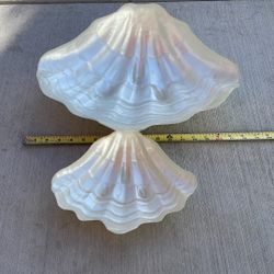 Sea Shells