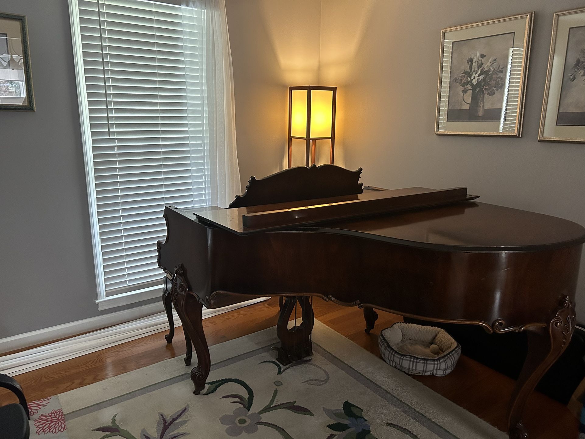 Baby Grand Piano