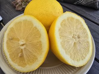Fresh Lemons