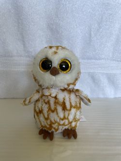 Small Owl “Swoops”