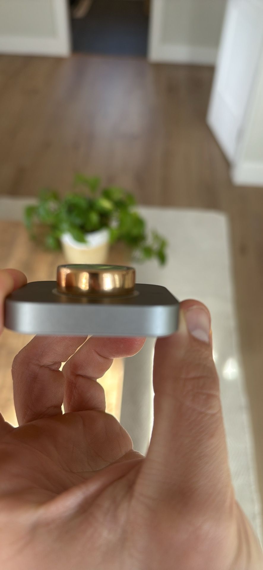 Oura Ring Gen 4
