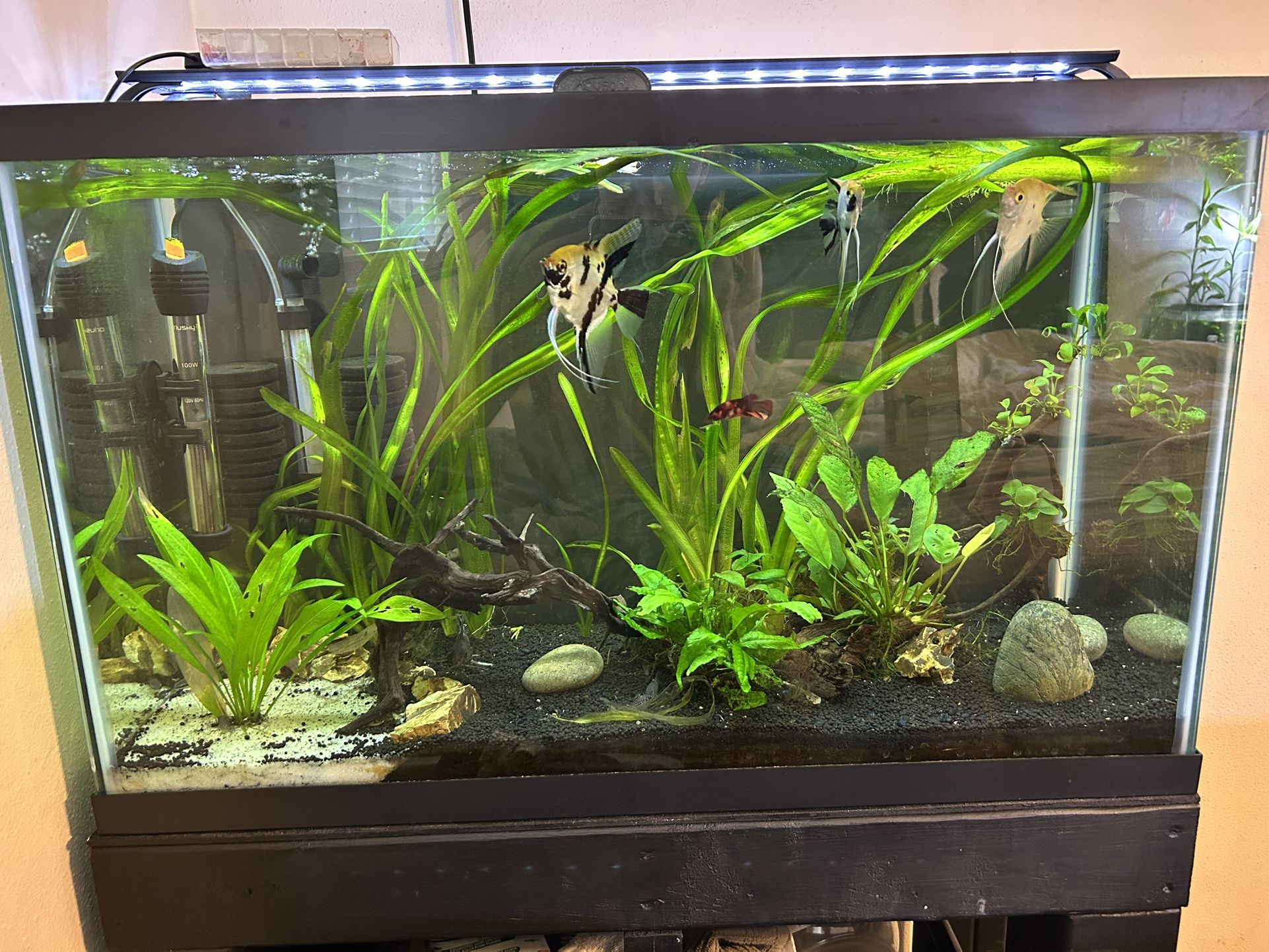 29 Gallon With Stand Everything Included