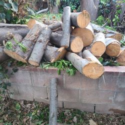 Free Firewood