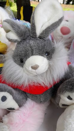 Adorable Ray bunny with red t-shirt says some bunny special