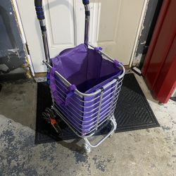 Shopping/laundry Trolley 