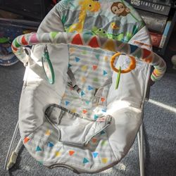 Baby Bouncer