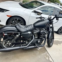 2020 Harley Davidson Iron 883 