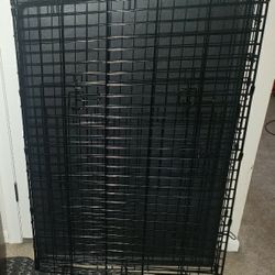 XL Dog Crates Available 