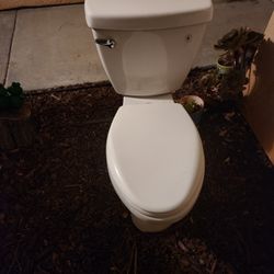 Free Free Free toilet