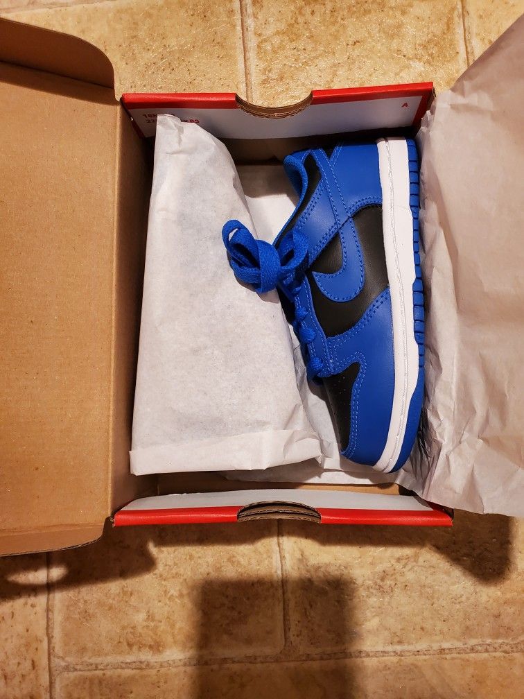 Nike Dunk Low Cobalt Toddler Size 11c