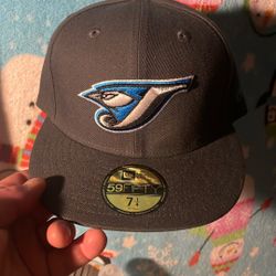 Toronto Blue Jay’s Fitted Hat