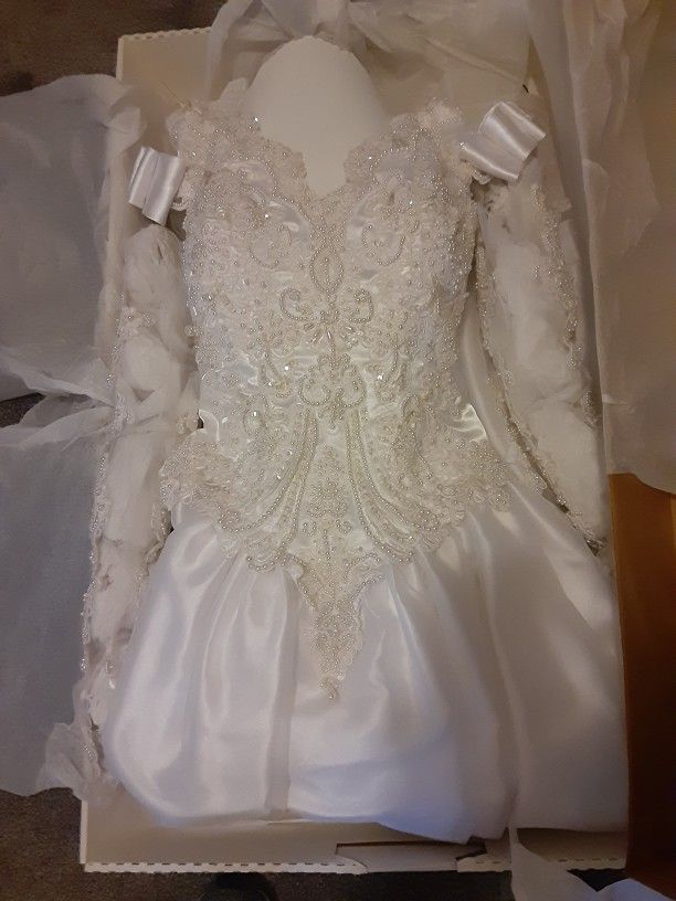 Beautiful Beaded Wedding Gown And Veil