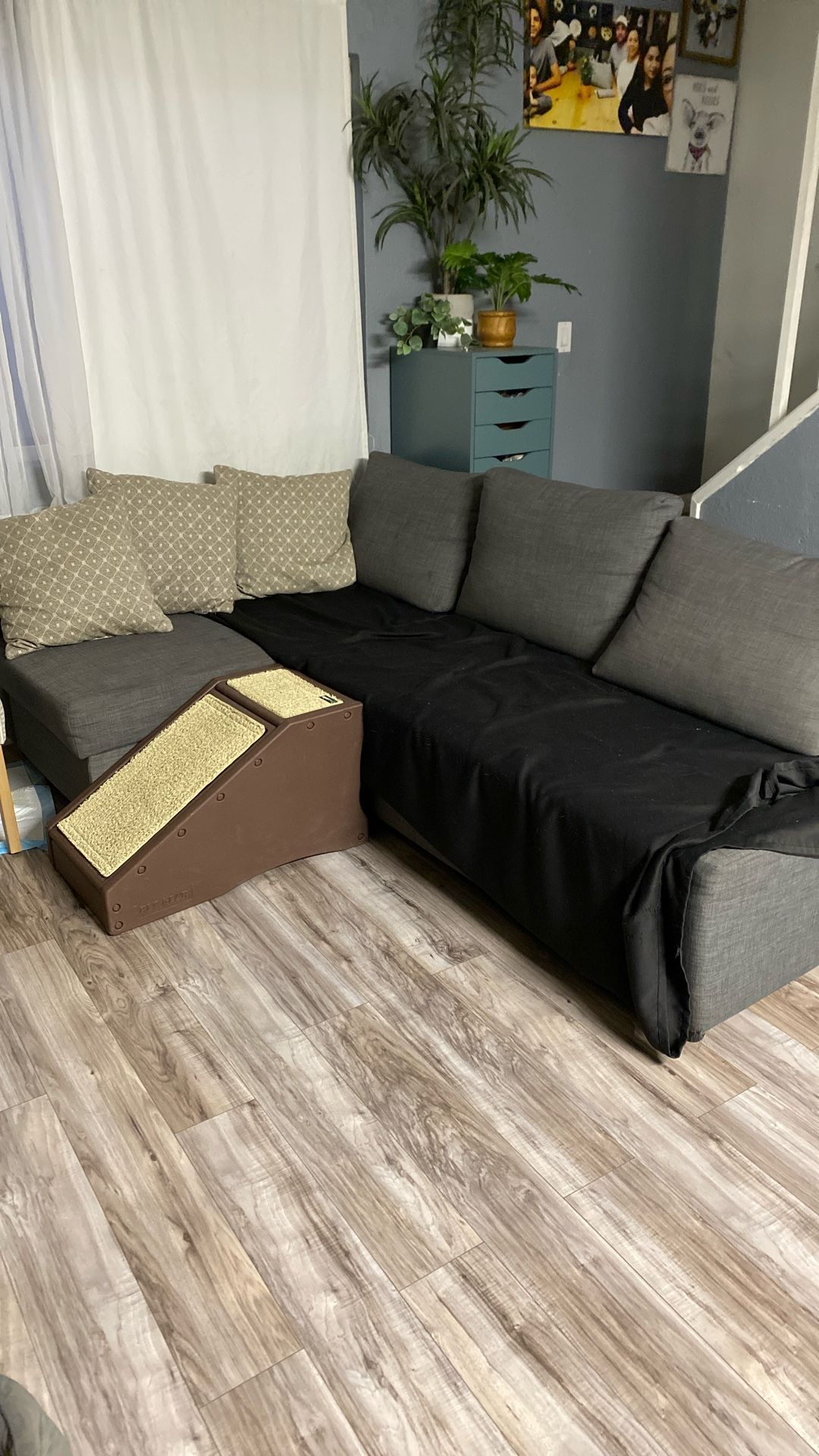 Sleeper Sofa