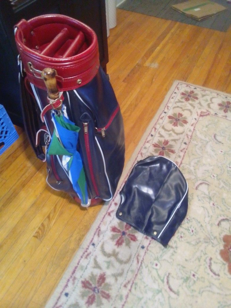 Golf Bag with Umbrella and Rain Cover. Excellent Condition