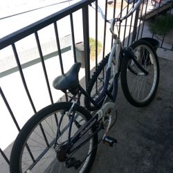 Schwinn Cruiser 