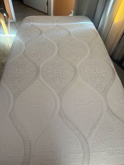 Twin Size Ashley Bed Frame + Mattress