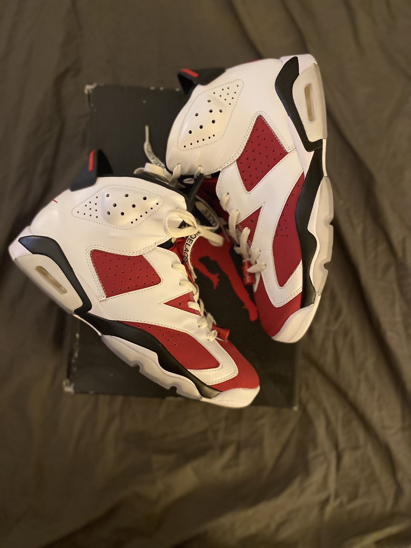 Jordan 6 Carmen Size 11