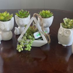 Artificial Succulents Plants