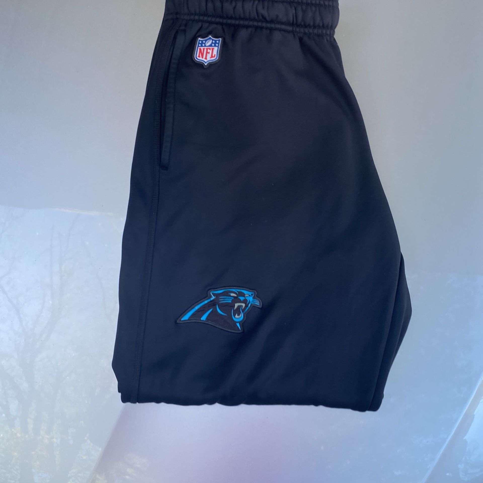Nike Therma Fit Panthers Pants