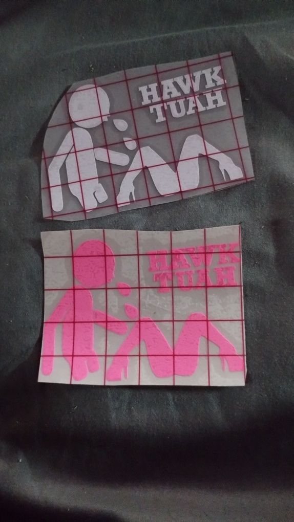 Hawk Tuah Decal
