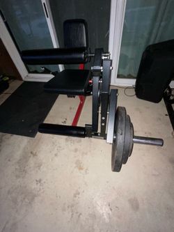 Leg  extension and Leg curl machine