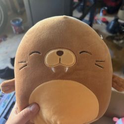 bruce the walrus squishmallow 