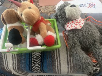 Free Toys And Clothes.
