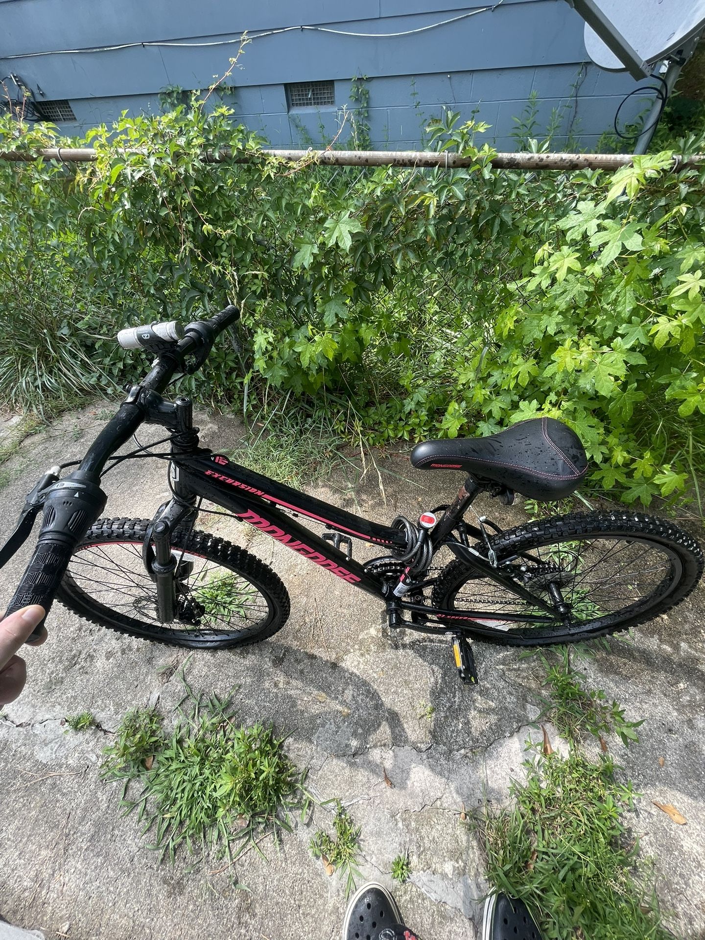 Mongoose Mountain Bike