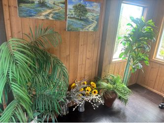 Fake plants