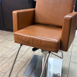 Salon Chair