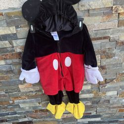 Disney Costume